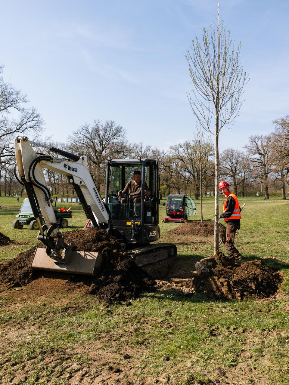 Travaux plantations d'arbres Parc des Evaux mars 2026 (©Pépinières Genevoises)