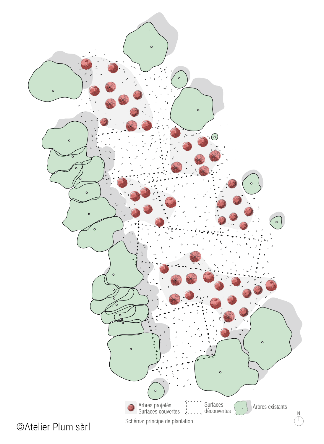 Schéma 2 - Principe de Plantation - Image Paysagère 2025-2035 - Fondation des Evaux