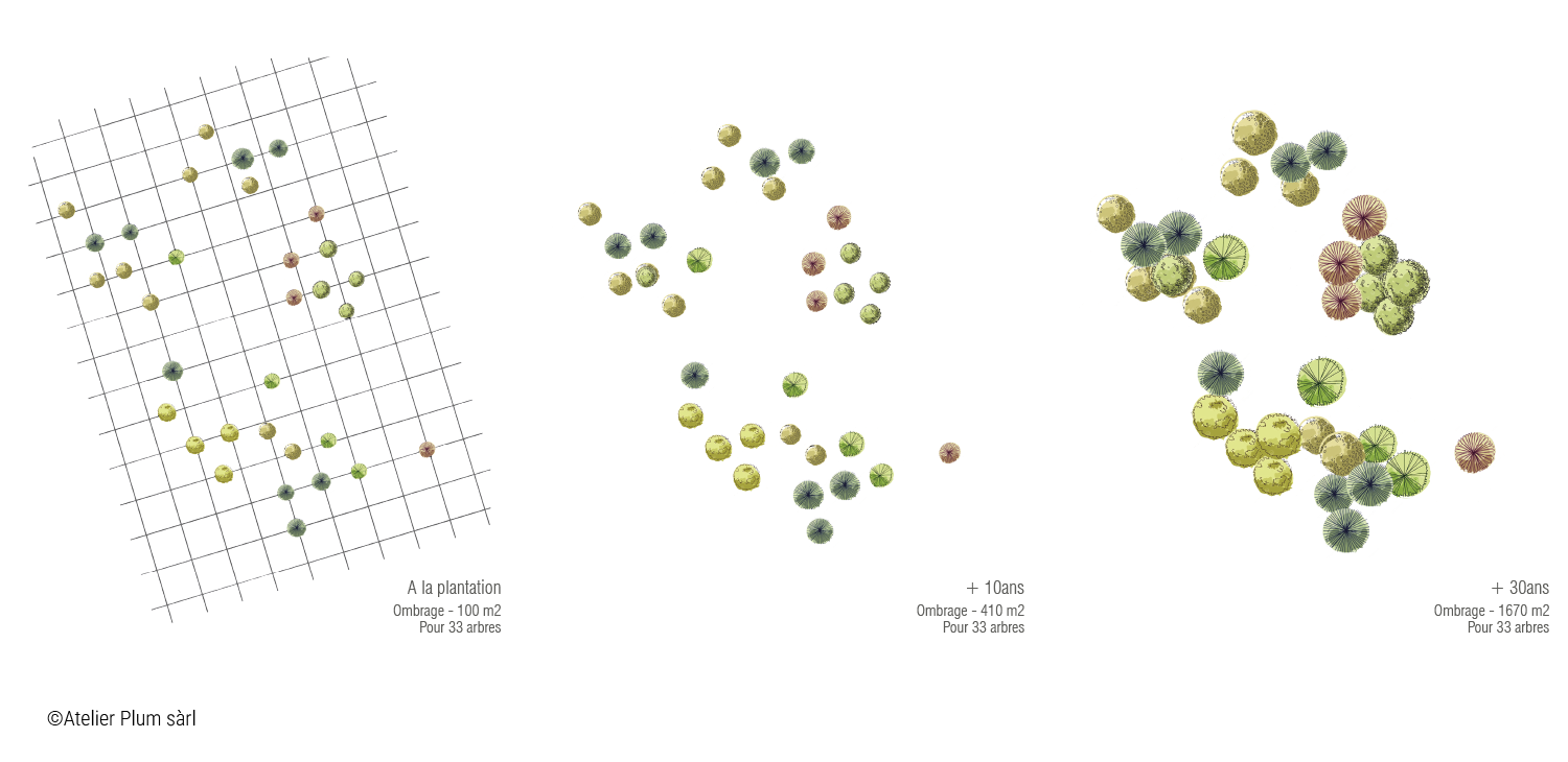 Schéma 3 - Ombrage - Image Paysagère 2025-2035 - Fondation des Evaux