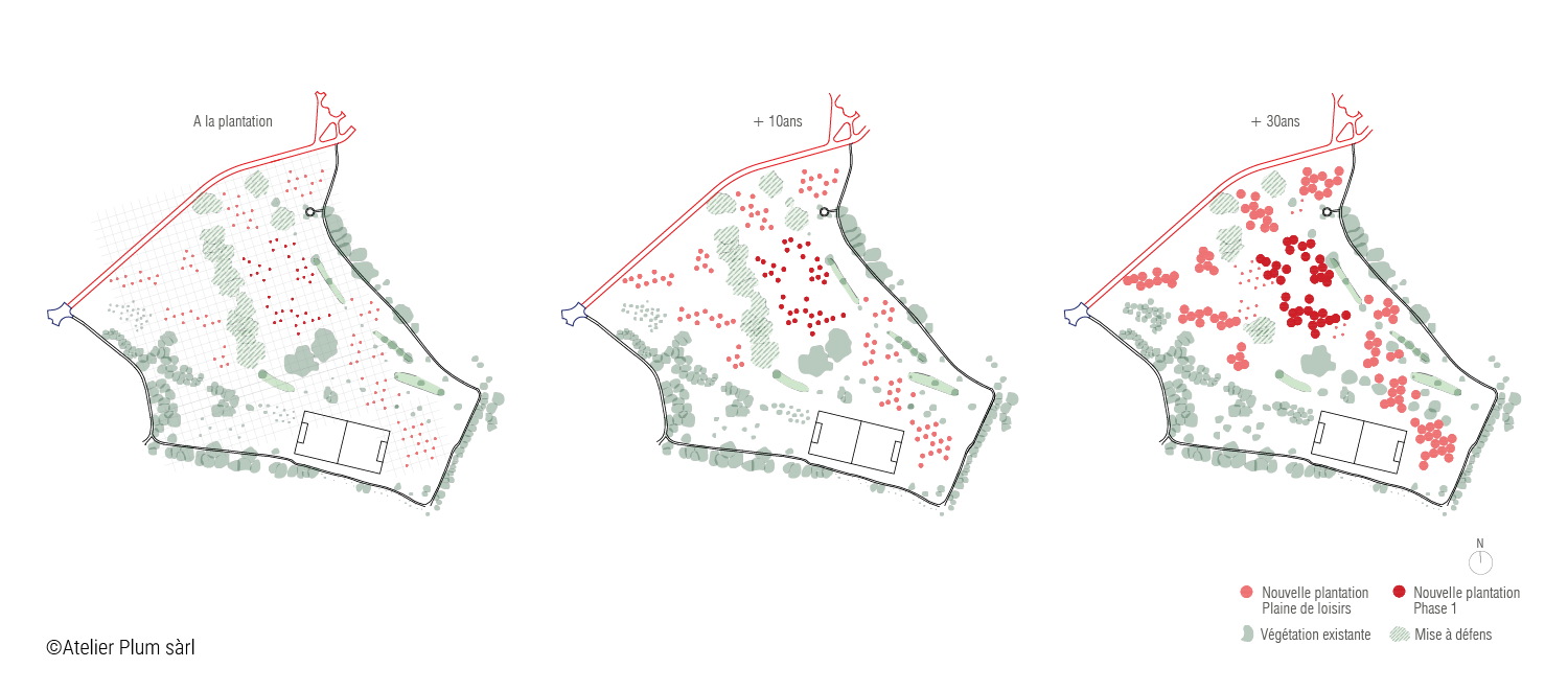 Schéma 4 - Développement des arbres - Image Paysagère 2025-2035 - Fondation des Evaux